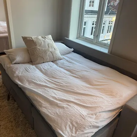 Appartement Sentrumsnaer Trivelig *